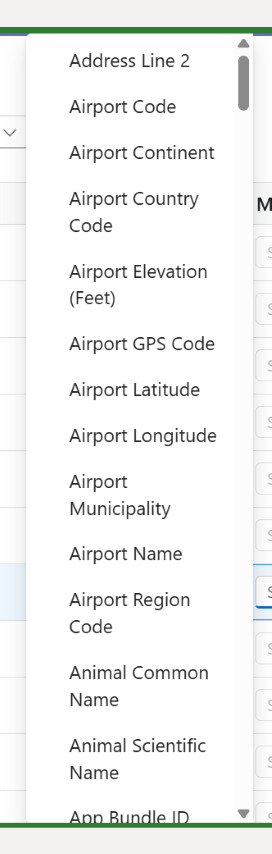 Mockaroo Data Munger data type options